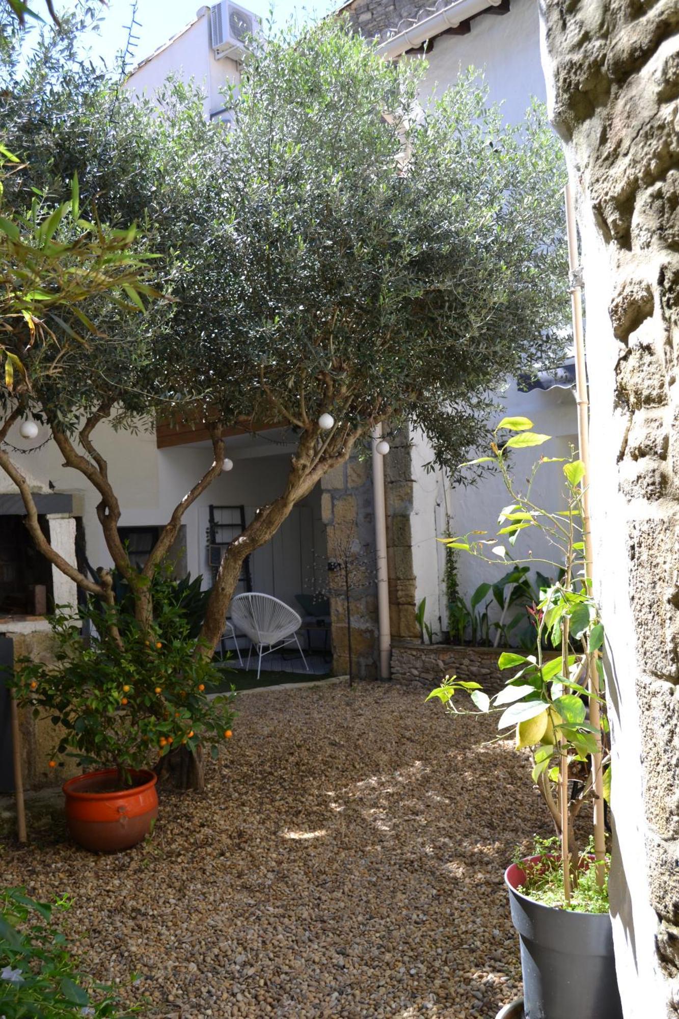 La Cachette Bed & Breakfast Aigues-Vives  Ngoại thất bức ảnh